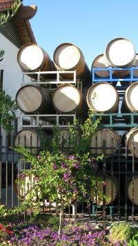 Slyvester Vineyards