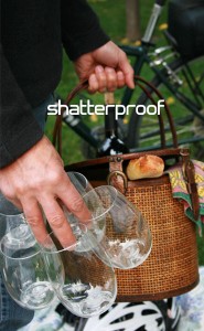 GoVino Shatterproof Wine Glasses