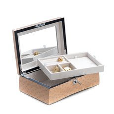 Lacquered Salmon Burl Wood Jewelry Box with Removable Top Tray and  Slots for Rings and Necklace with Soft Velour Lining, Mirror and Locking Clasp