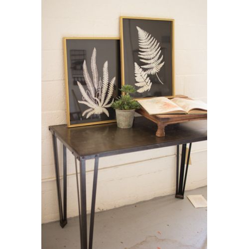 Black And White Fern Prints Under Glass Set of Two