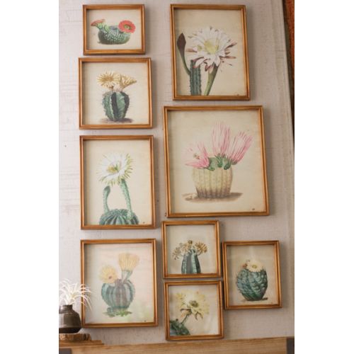 Cactus Flower Prints Under Glass Set of 9
