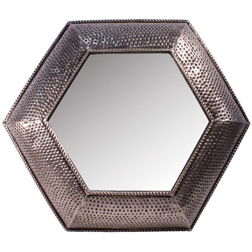 Snakeskin Metal Mirror