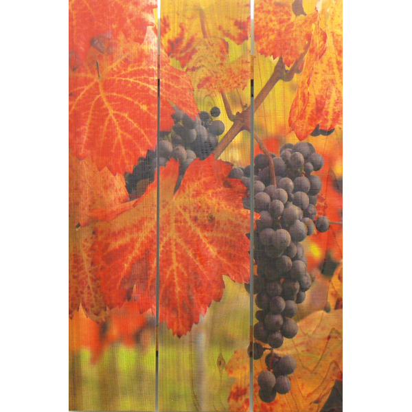 Summer Harvest Gizaun Art (16x24)