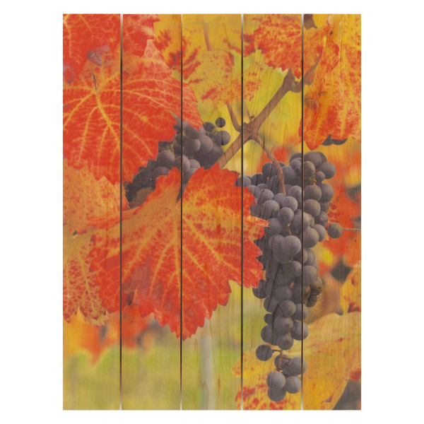 Summer Harvest Gizaun Art (28x36)
