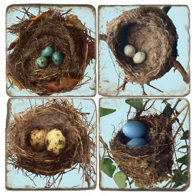 Bird Nests Marble Coasters