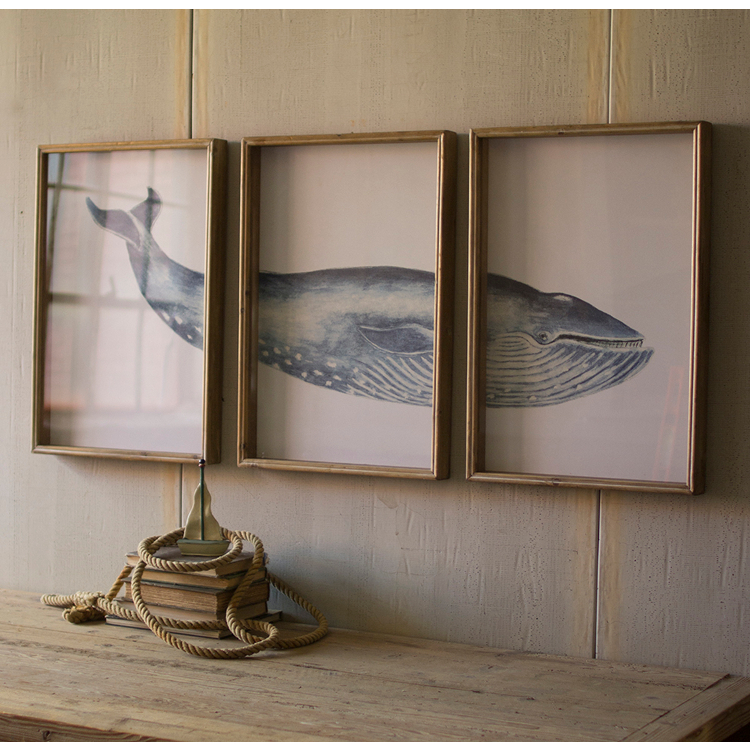Triptych Framed Whale Prints Under Glass