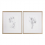 Uttermost Botanical Sketches Framed Prints S/2