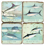 Saltwater Fish Marble Coasters