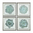 Uttermost Natural Beauties Botanical Prints S/4