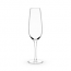 Big Bubbly: Full Bottle Prosecco Glass by True