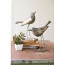 Metal Birds - Rustic Grey Set of 2