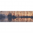 Still Lake Cedar Wall Art