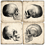 Skulls Italian Marble Coasters