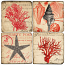 Seaside Italian Marble Coasters