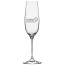 Custom Plastic Champagne Drinkware (set of 72)
