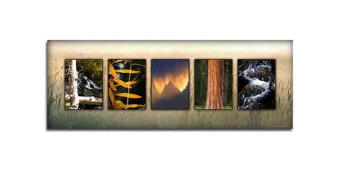 Nature Letters Name Art