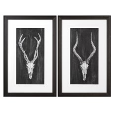 Uttermost Rustic European Mounts Prints S/2