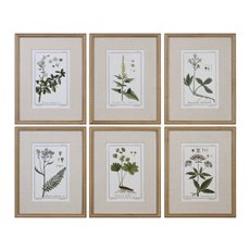 Uttermost Green Floral Botanical Study Prints S/6