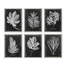 Uttermost Foliage Framed Prints, S/6