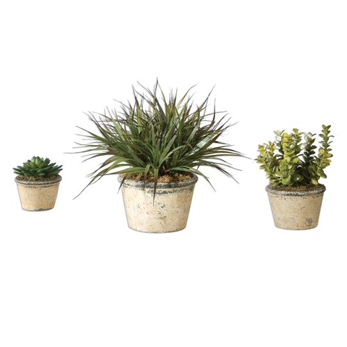 Uttermost La Costa Greenery, Set/3