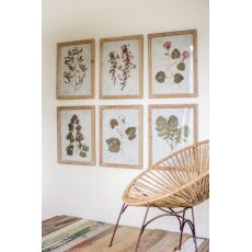 Leaf Prints Under Glass Set of 6