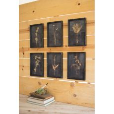 Kalalou Botanical Prints Under Glass Set of 6