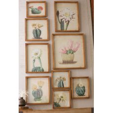 Cactus Flower Prints Under Glass Set of 9