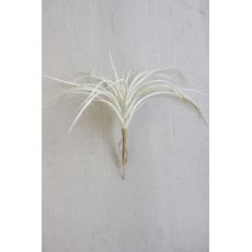 White Air Plant Large Set of 6