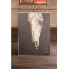Oil Painting Black and White Front Viewith Horse with Silver Frame