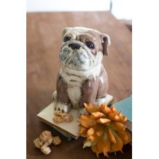Ceramic Bull Dog Canister