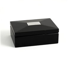 Ebony Hinged Box with Removable Divider and 1x2 Brushed Silver Engraving Plate