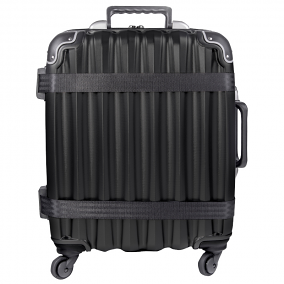 VinGardeValise Petite 03 Wine Bottle Luggage 