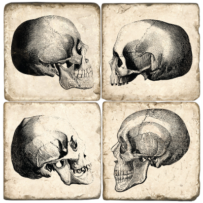 Skulls Italian Marble Coasters