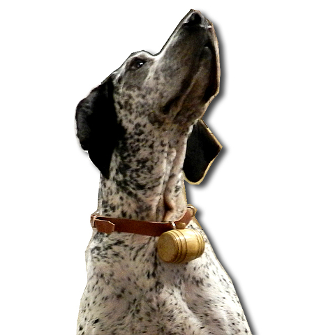 Mini Oak Barrel Dog Charm and Collar Set, Large