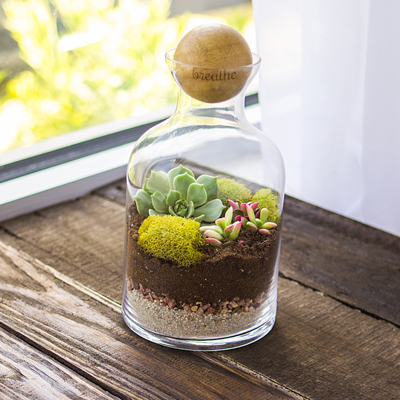 Personalized Glass Terrarium with Wood Ball