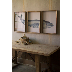 Triptych Framed Whale Prints Under Glass